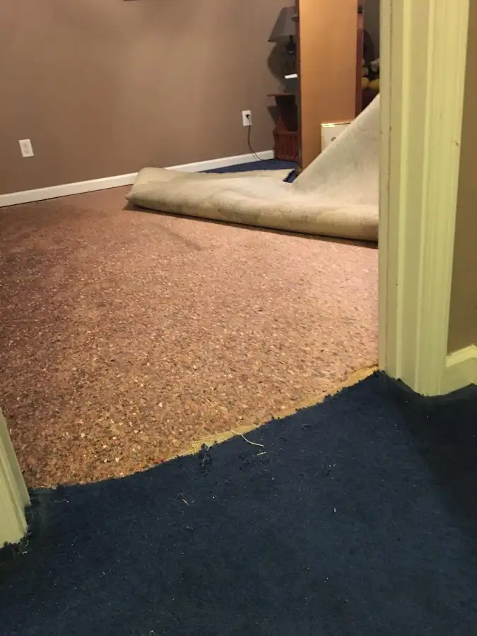 Carpet pad removal revealing water damage during Drying & Dehumidification in Indio
